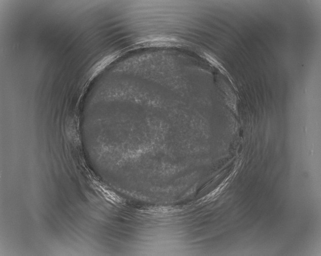 X0000055970970200509091440