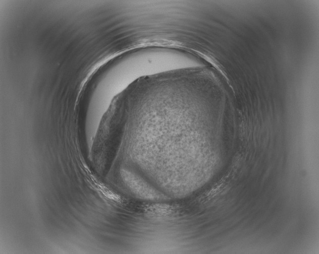 X0000055970971200509091440