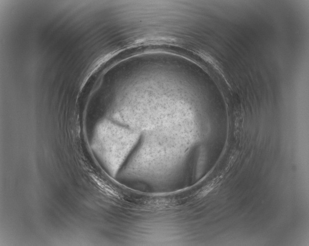 X0000055970973200509091439