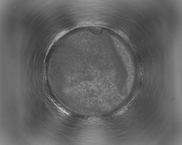 X0000055970974200509091439