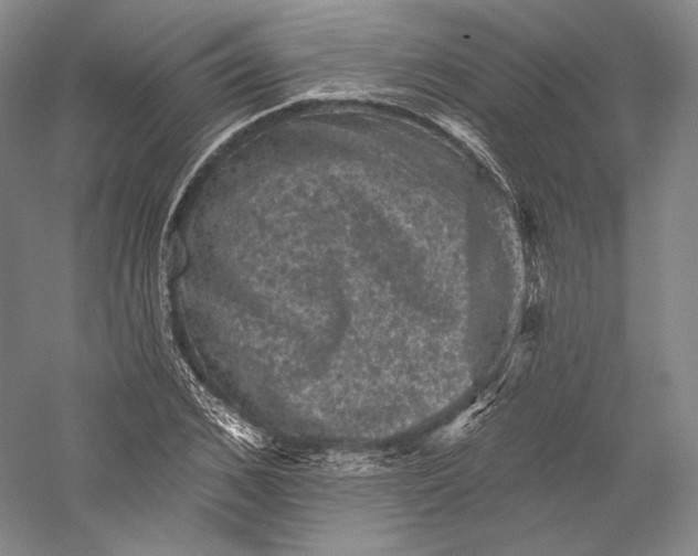 X0000055970976200509091439