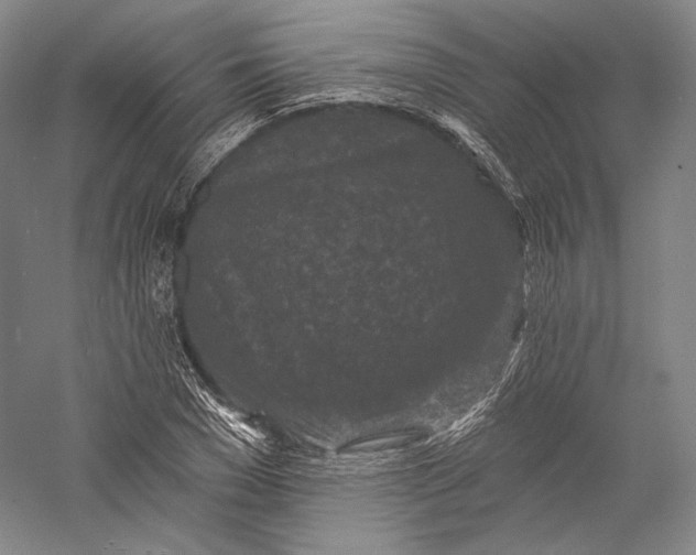 X0000055970977200509091439