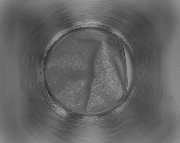 X0000055970978200509091439