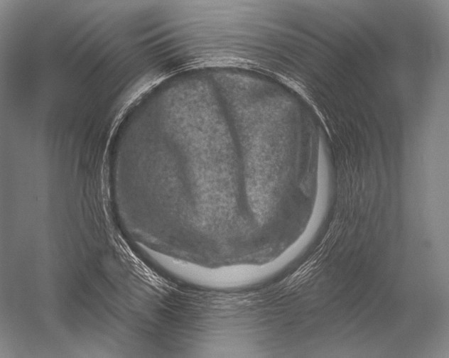 X0000055970979200509091439