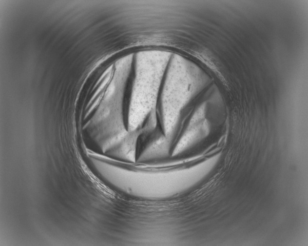 X0000055970980200509091439