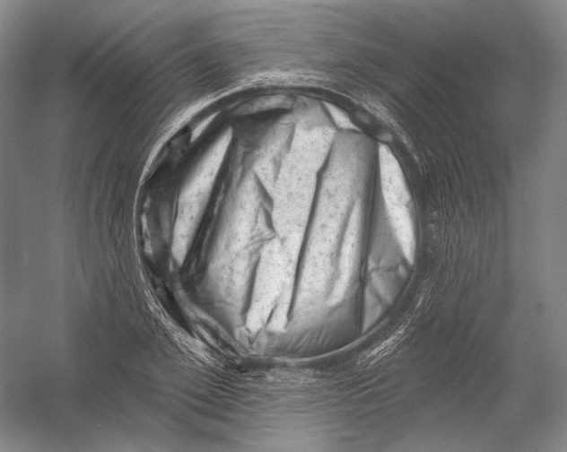 X0000055970981200509091439