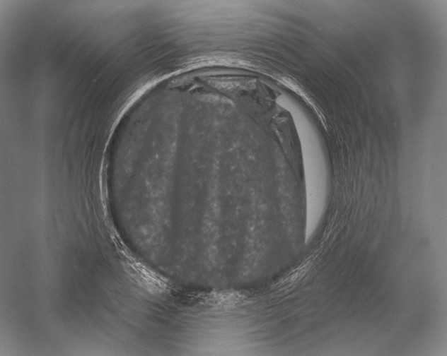 X0000055970983200509091439