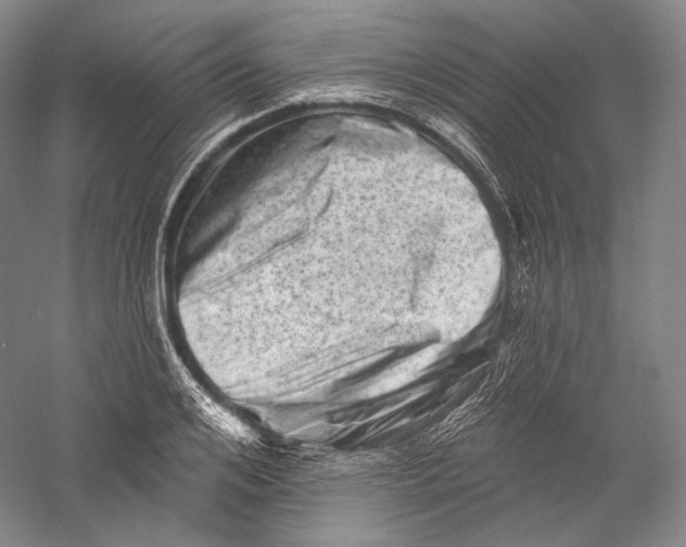 X0000055970984200509091439