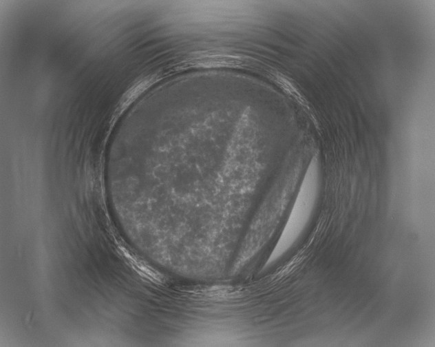 X0000055970986200509091439