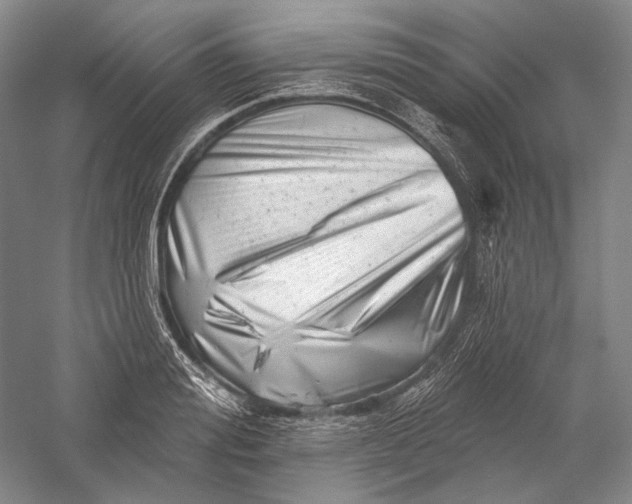 X0000055970988200509091439