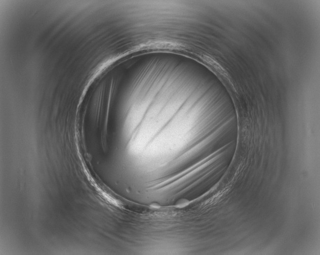 X0000055970989200509091439