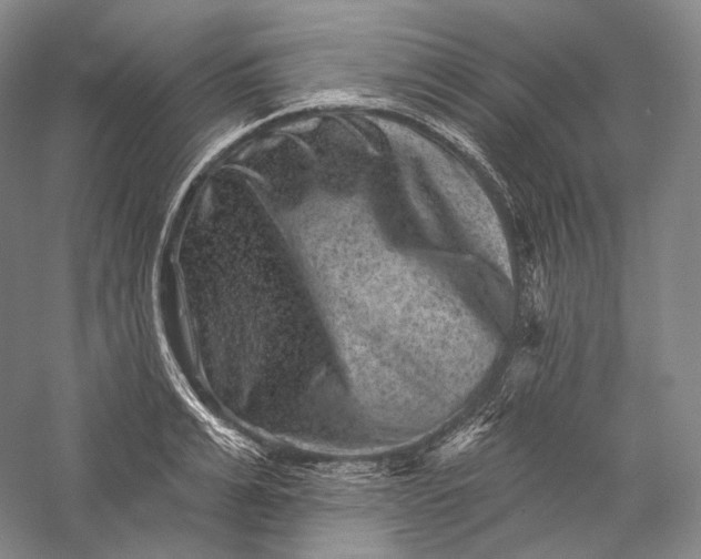 X0000055970991200509091439