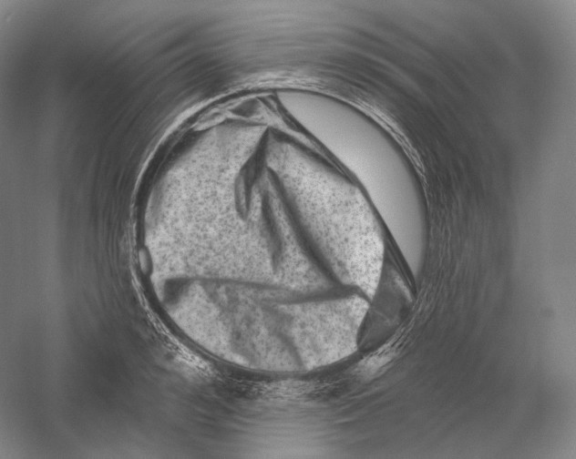 X0000055970992200509091439