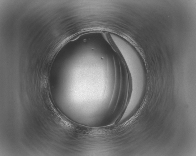 X0000055970993200509091439