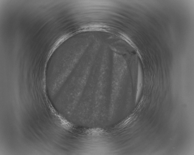 X0000055970994200509091439