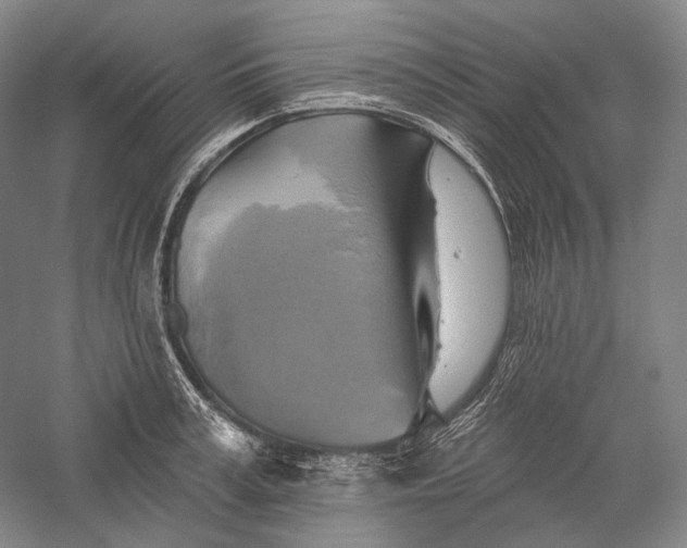 X0000055970995200509091439