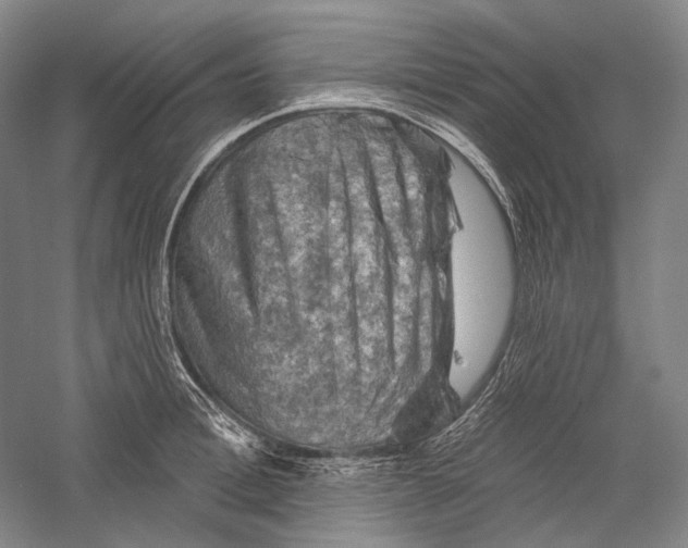 X0000055970996200509091439