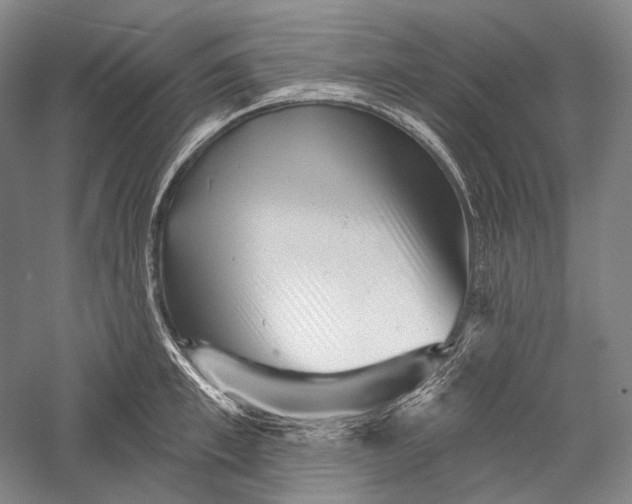 X0000055970997200509091439