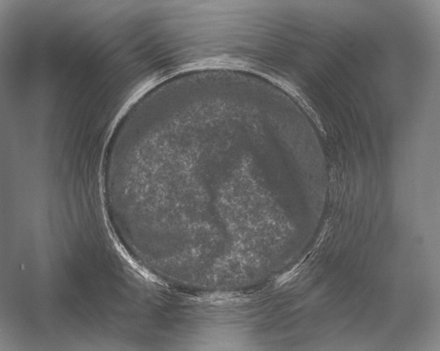 X0000055970998200509091439