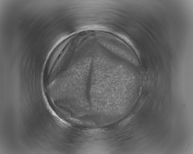 X0000055970999200509091439