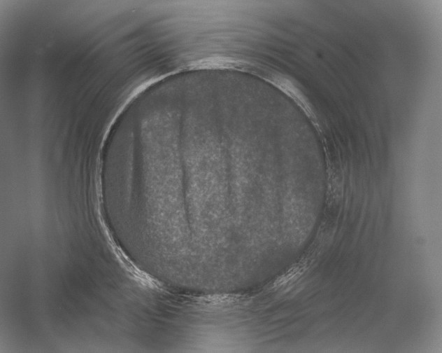 X0000055971000200509091439