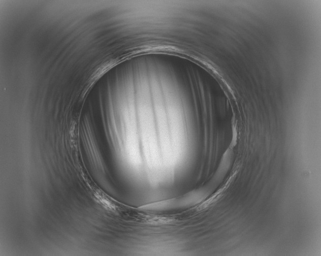 X0000055971001200509091439