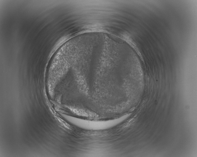 X0000055971002200509091439