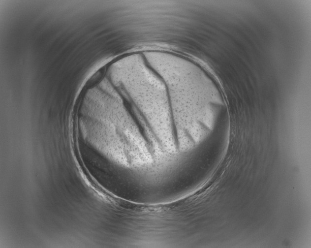 X0000055971003200509091439