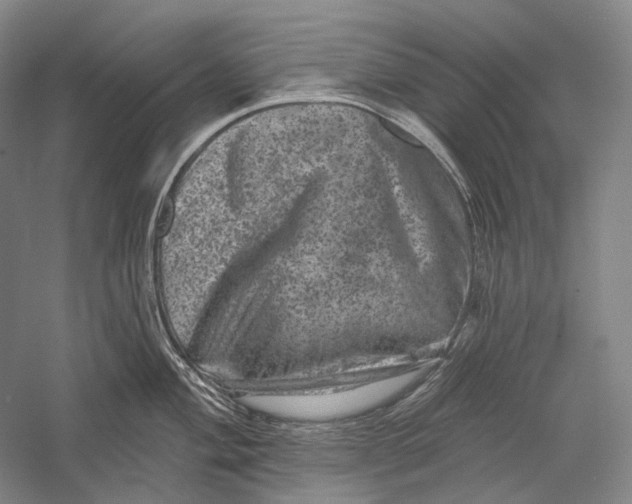 X0000055971004200509091439