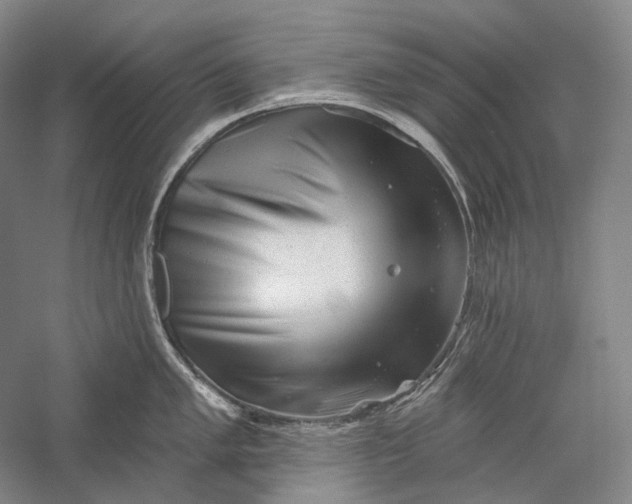 X0000055971005200509091439