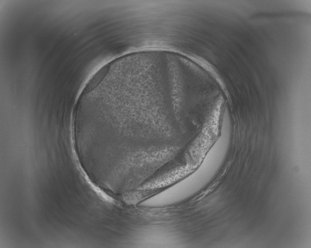 X0000055971006200509091439