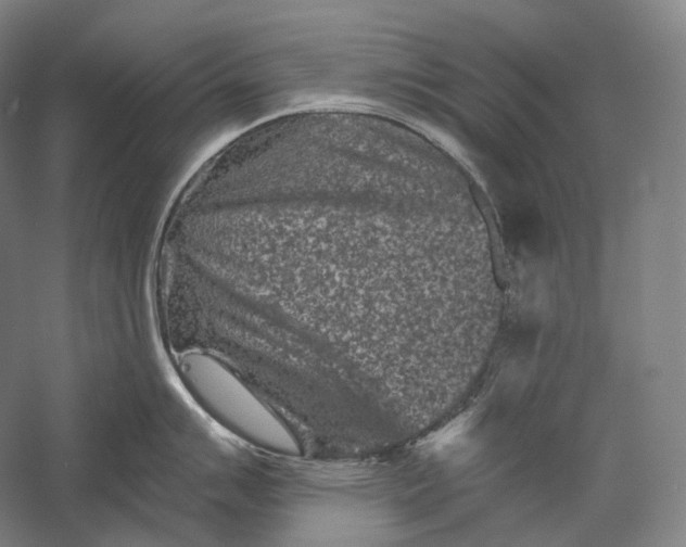 X0000055971007200509091439