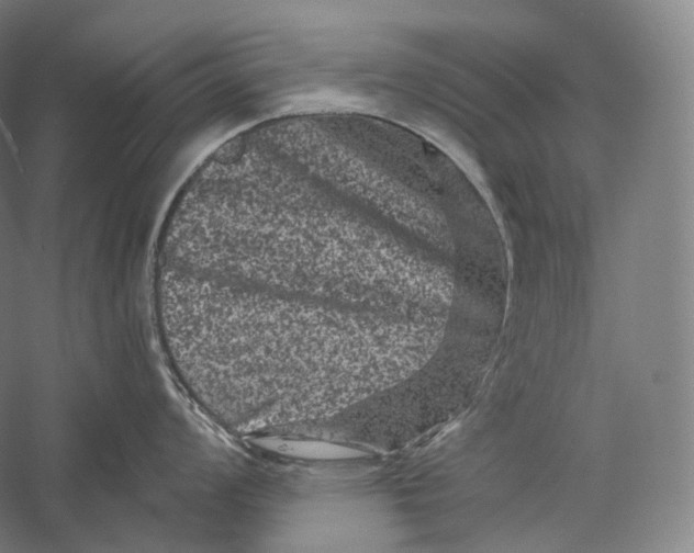 X0000055971008200509091439