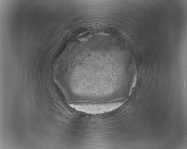 X0000055971009200509091438