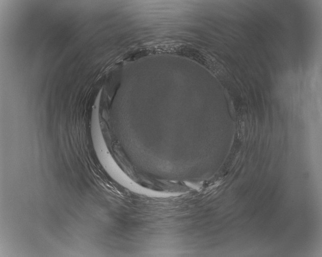 X0000055971010200509091438