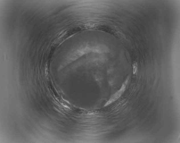 X0000055971011200509091438