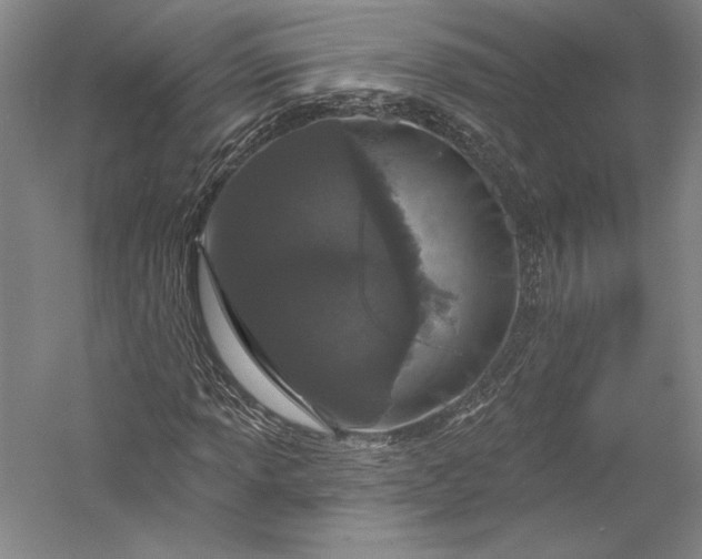 X0000055971013200509091438