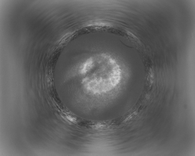 X0000055971014200509091438