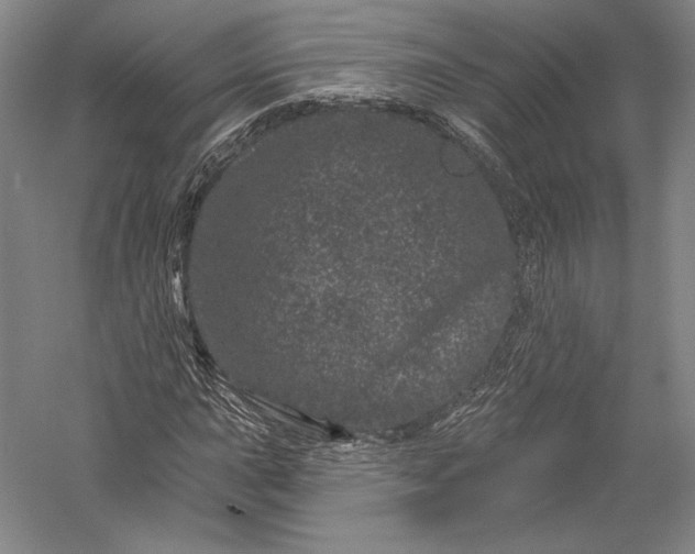 X0000055971015200509091438