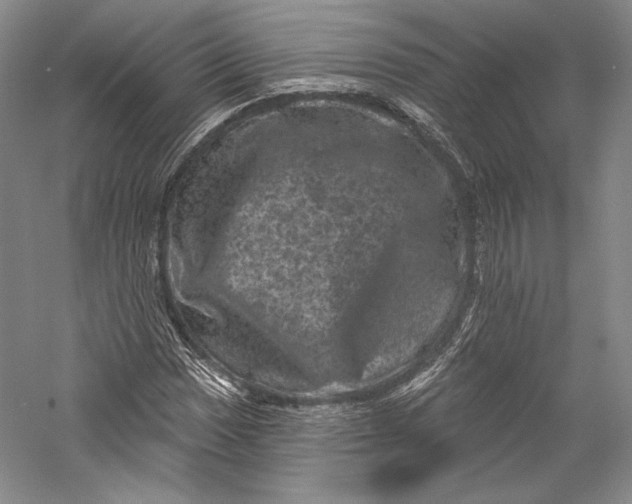 X0000055971017200509091438