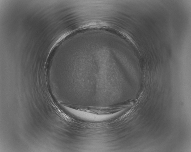 X0000055971018200509091438