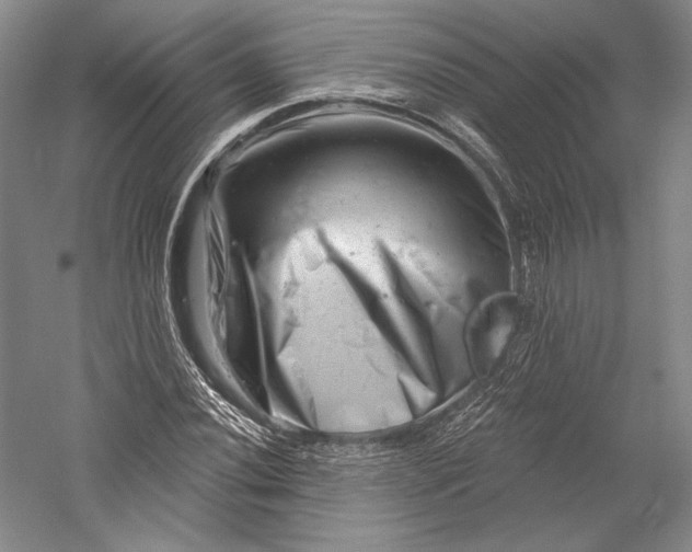 X0000055971020200509091438