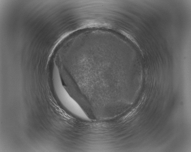 X0000055971021200509091438