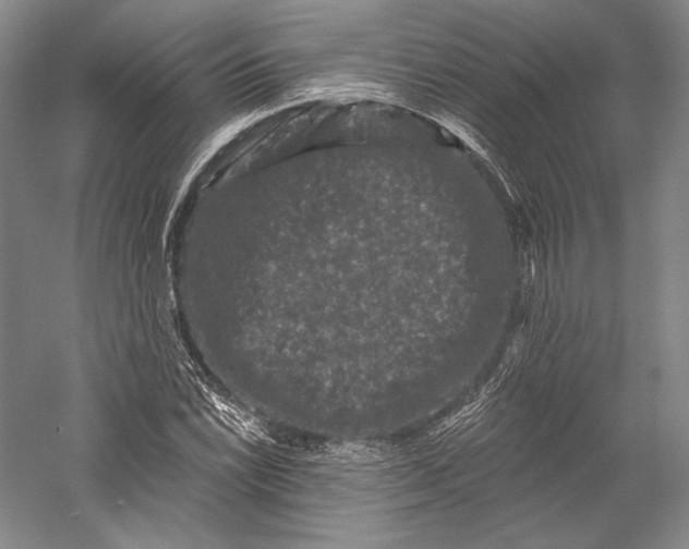 X0000055971022200509091438