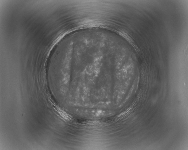 X0000055971023200509091438