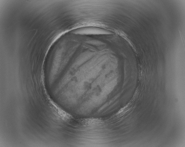 X0000055971024200509091438