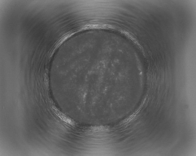 X0000055971025200509091438