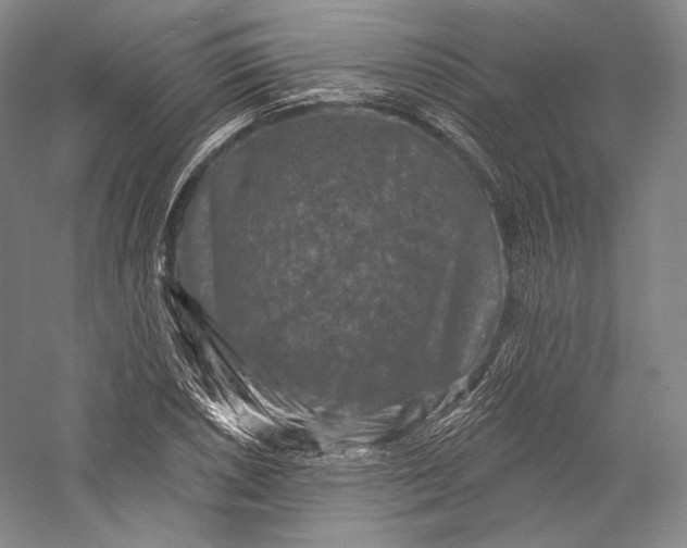 X0000055971026200509091438