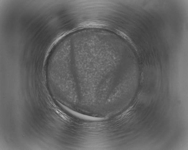 X0000055971027200509091438