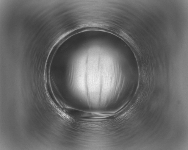 X0000055971028200509091438